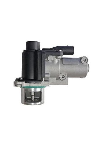 Caddy Passat Egr Valfi 2004- [pierburg] [03G131502]