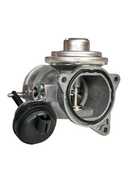 T5 Passat Sharan A4 Egr Valfi 2001-2010 [038131501AA]