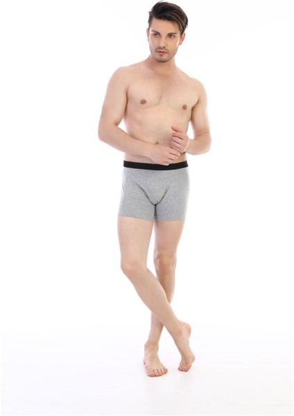 Erkek Elastanlı Gri Boxer 889 modelleri