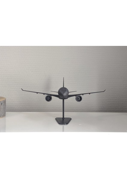 Aırbus A220 Model Uçak (Büyük Boy) fırsatları