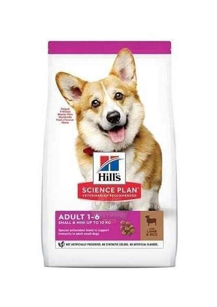 Science Plan Kuzu Etli Küçük Irk Yetişkin Köpek Maması 6 kg