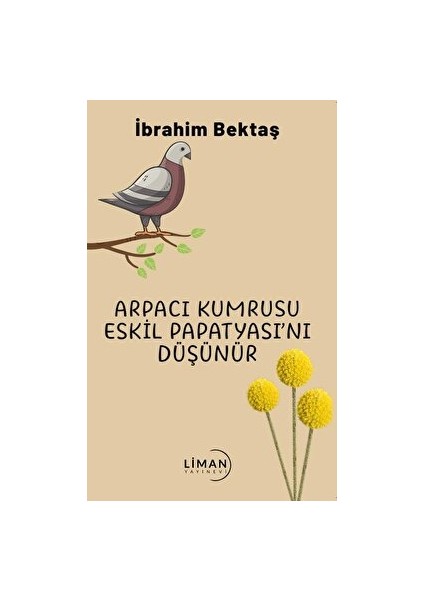 Arpacı Kumrusu Eskil Papatyasını Düşünür - İbrahim Bektaş
