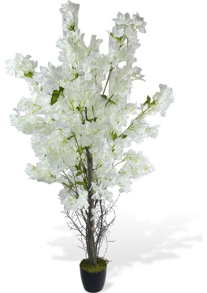 Yapay Ağaç Beyaz Begonvil Ağacı 150*60CM Doğal Görünümlü Yapay Ağaç