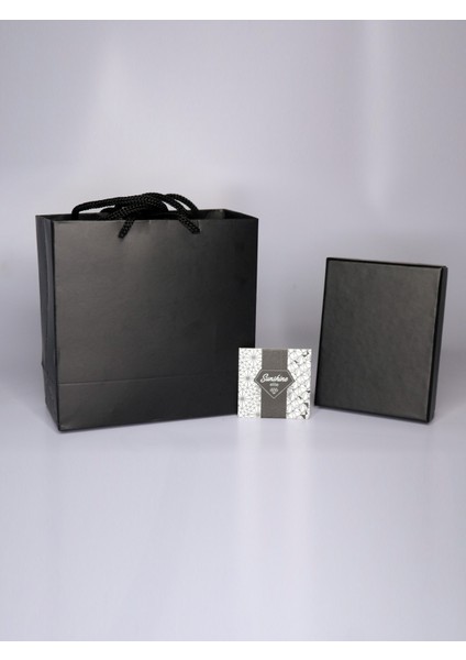 Swarovski Zirconia Baget Taşlı Gümüş Gold Küpe modelleri