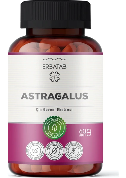 Astragalus Çin Geveni Ekstresi 60 Kapsül