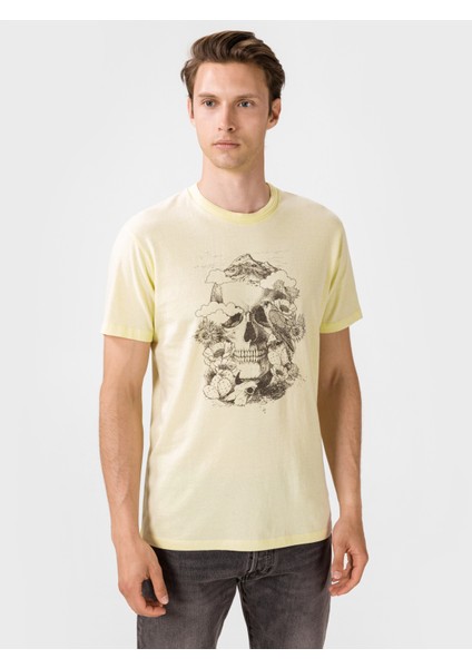 12170382 Pear Sorbet / Reg Sarı