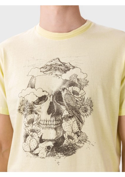 12170382 Pear Sorbet / Reg Sarı modelleri