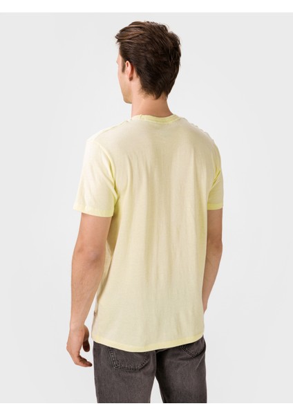 12170382 Pear Sorbet / Reg Sarı fırsatları