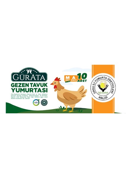Gezen Tavuk Yumurtası M Boy 10'lu