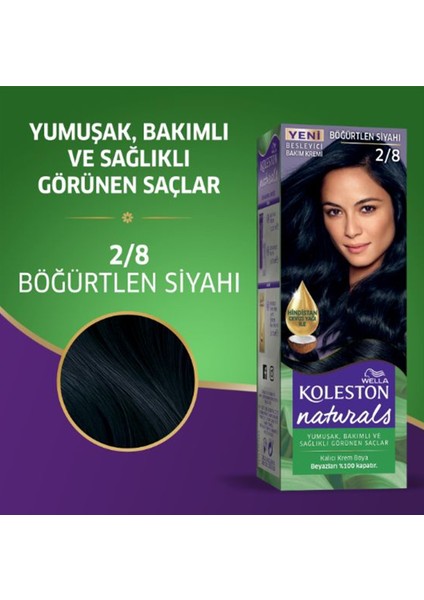 Naturals Saç Boyası Böğürtlen Siyahı 2/8 2x Paket