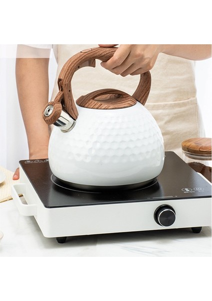 2.8 L Islık Çay Su Isıtıcısı Paslanmaz Çelik Çaydanı Ahşap Saplı (Yurt Dışından) fiyatları