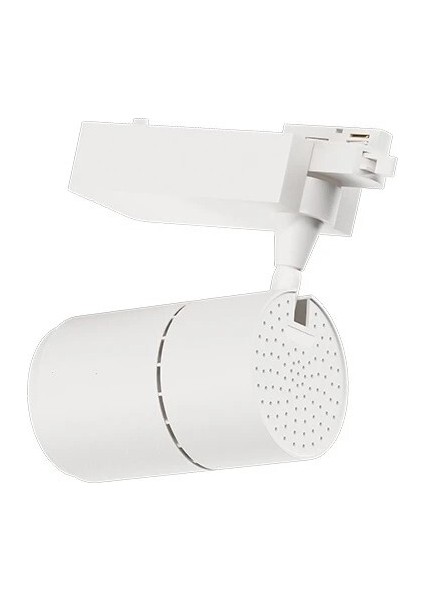 Led Ray Spot 60 Watt 4000 Kelvin Beyaz Kasa fiyatları