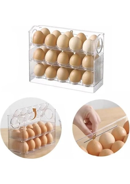 Buzdolabı Yumurta Organizeri SC-4301