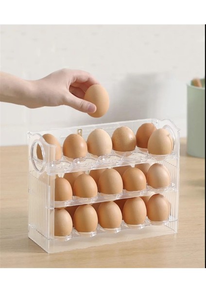 Buzdolabı Yumurta Organizeri SC-4301