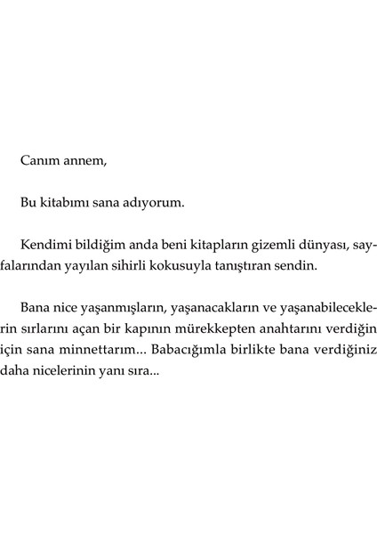 Bir Gece Yolculuğu - Nermin Bezmen