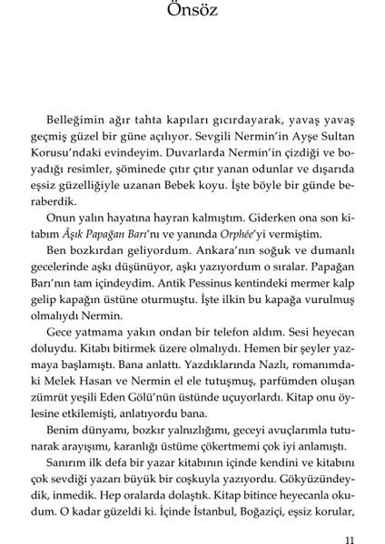 Bir Gece Yolculuğu - Nermin Bezmen