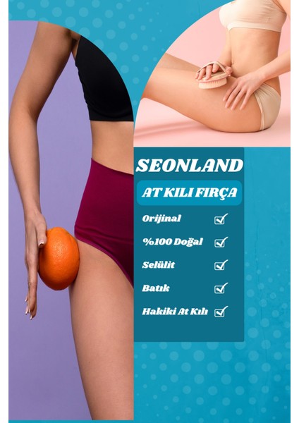 Doğal At Kılı Fırçası + Yüz Fırçası + Kabak Lifli Kolajen Sabunu Antiaging Güzellik Paketi fırsatları