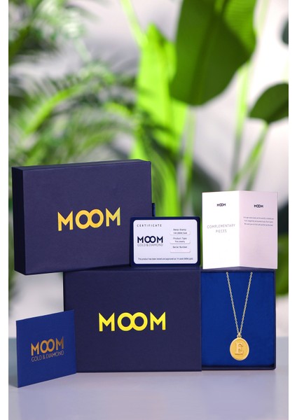 Kadın 14 Ayar Altın Harf Kolye Nostaljik Oval E Harfi Altın Kolye Zincirli 42 cm indirimleri