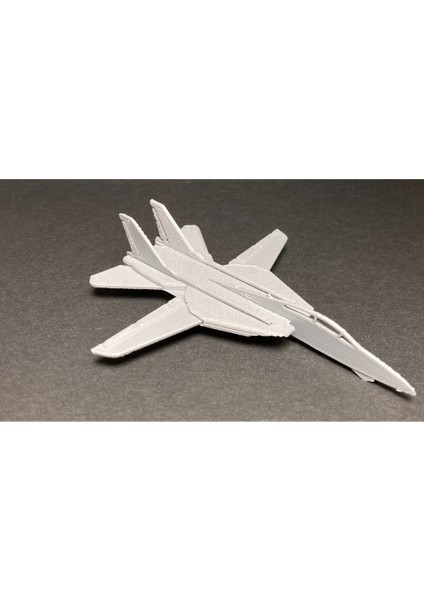 Grumman F-14D Super Tomcat Maket Uçak Kartı indirimleri