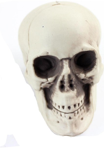 Kafatası Cadılar Bayramı Dekor 3 Adet (Yurt Dışından) fiyatları