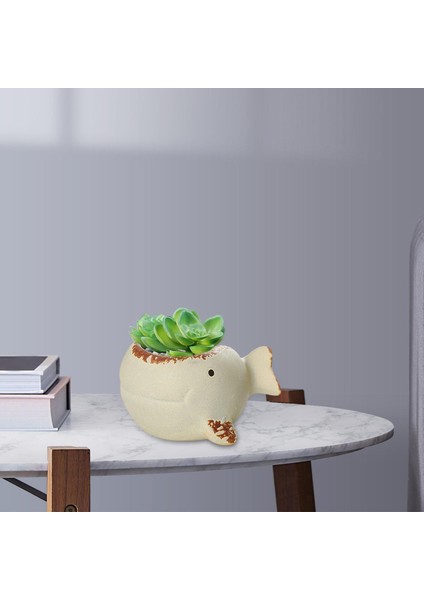 Sevimli Küçük Etli Tencere Süsü Yeşil Bitki Potu Hayvan Bonsai Flowerpot Beyaz (Yurt Dışından) fırsatları