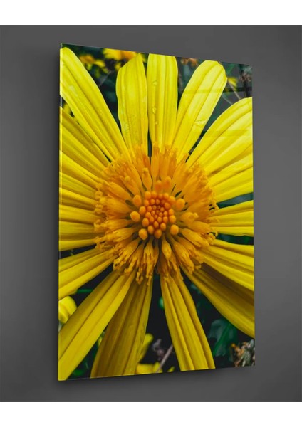 Makro Sarı Çiçek Dikey Cam Tablo
