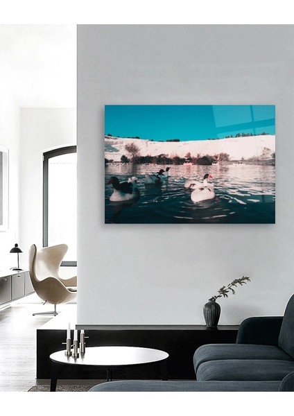 Pamukkale ve Ördek Cam Tablo fiyatları