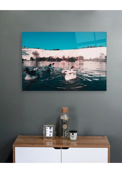 Pamukkale ve Ördek Cam Tablo fırsatları