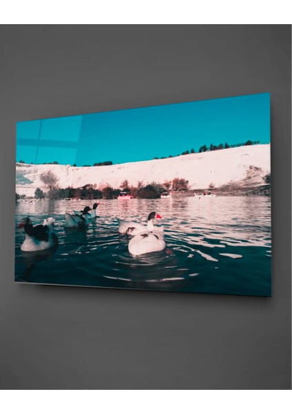 Pamukkale ve Ördek Cam Tablo