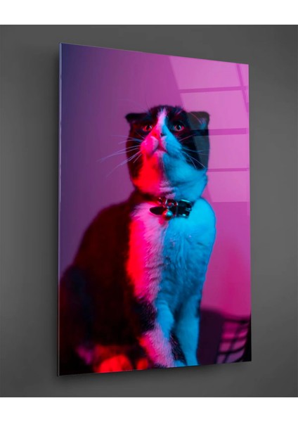 Neon Efektli Kedi Cam Tablo