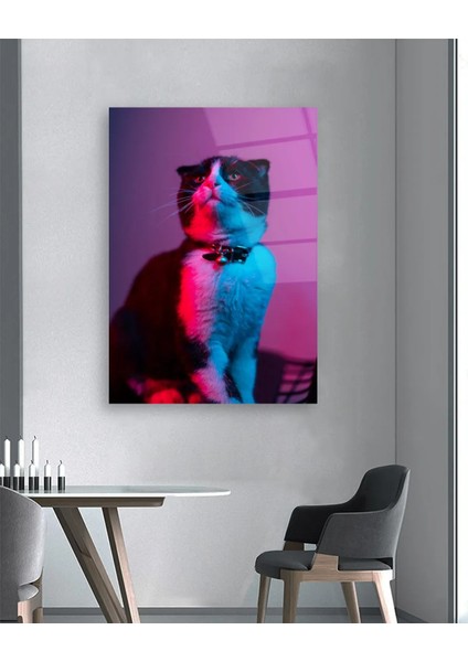 Neon Efektli Kedi Cam Tablo