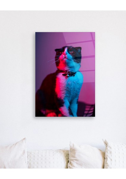Neon Efektli Kedi Cam Tablo