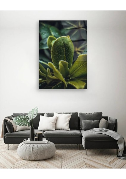 Makro Yeşil Yapraklar 2 Dikey Cam Tablo modelleri