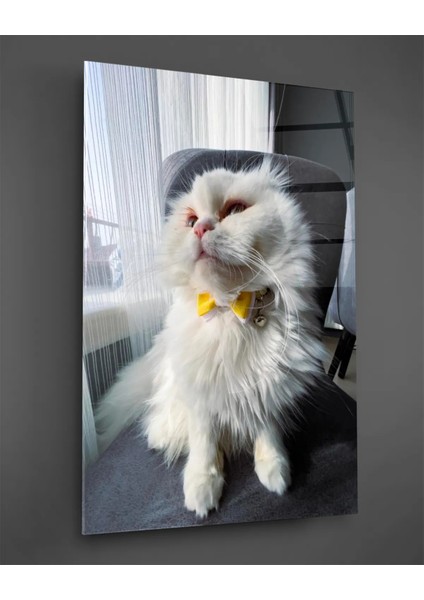 Sarı Papyonlu Beyaz Kedi Cam Tablo