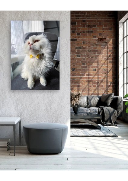 Sarı Papyonlu Beyaz Kedi Cam Tablo fiyatları