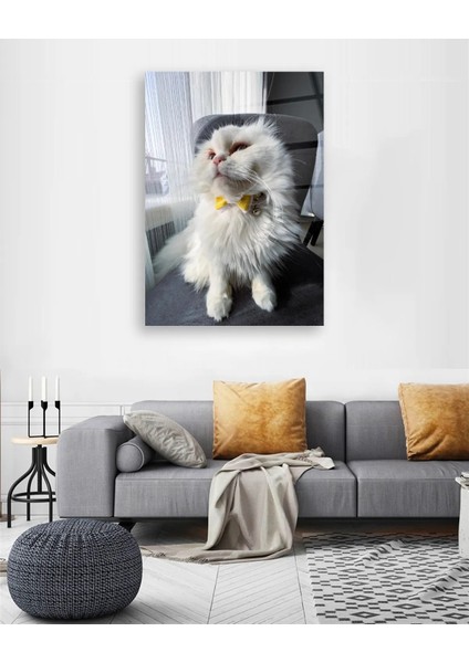 Sarı Papyonlu Beyaz Kedi Cam Tablo modelleri