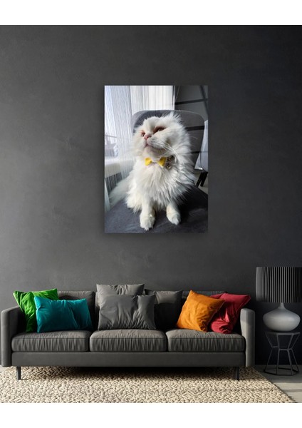 Sarı Papyonlu Beyaz Kedi Cam Tablo indirimleri
