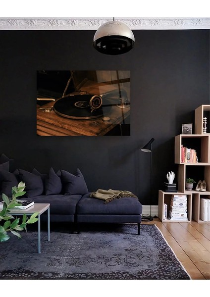 Retro Plak Yatay Cam Tablo fırsatları