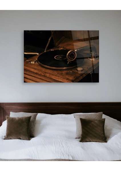 Retro Plak Yatay Cam Tablo indirimleri