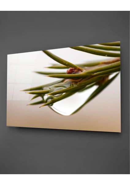 Su Damlalı Bitki Yatay Cam Tablo