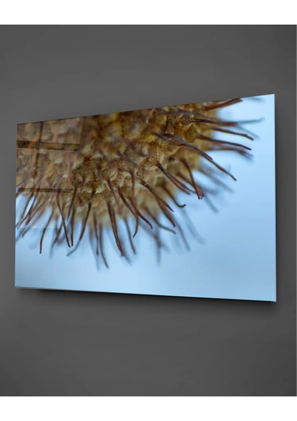 Makro Sarı Bitki Yatay Cam Tablo