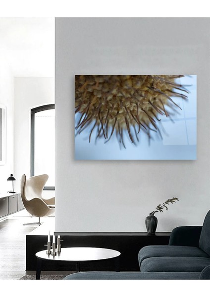 Makro Sarı Bitki Yatay Cam Tablo fırsatları