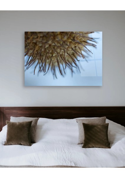 Makro Sarı Bitki Yatay Cam Tablo indirimleri