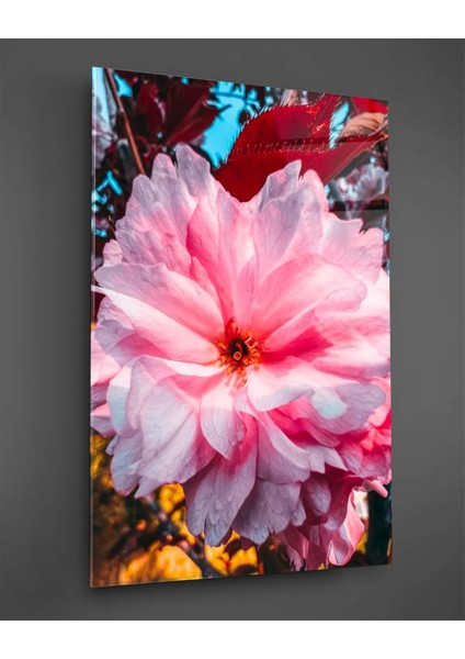 Makro Pembe Çiçek Dikey Cam Tablo