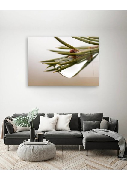 Su Damlalı Bitki Yatay Cam Tablo fiyatları