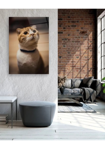 Sarı Kedi Dikey Cam Tablo fiyatları
