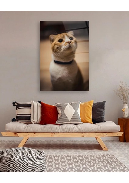 Sarı Kedi Dikey Cam Tablo modelleri