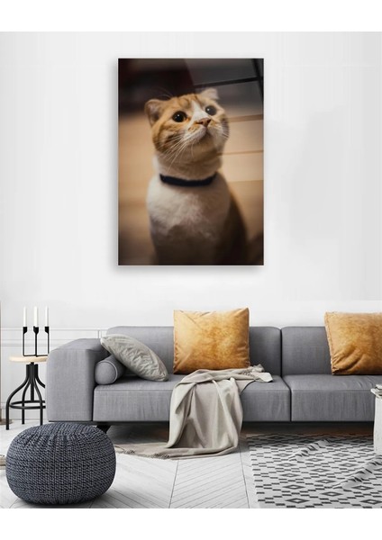 Sarı Kedi Dikey Cam Tablo fırsatları