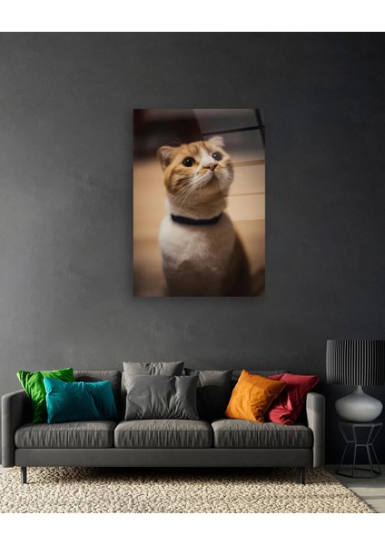 Sarı Kedi Dikey Cam Tablo indirimleri