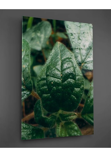 Makro Yeşil Yaprak Dikey Cam Tablo